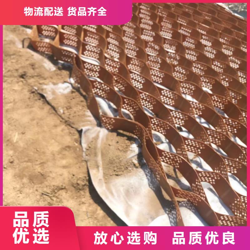 蜂巢格室 土工格室質(zhì)量牢靠