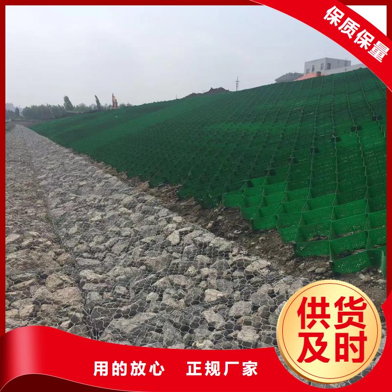 蜂巢格室塑料土工格室價(jià)格公道合理