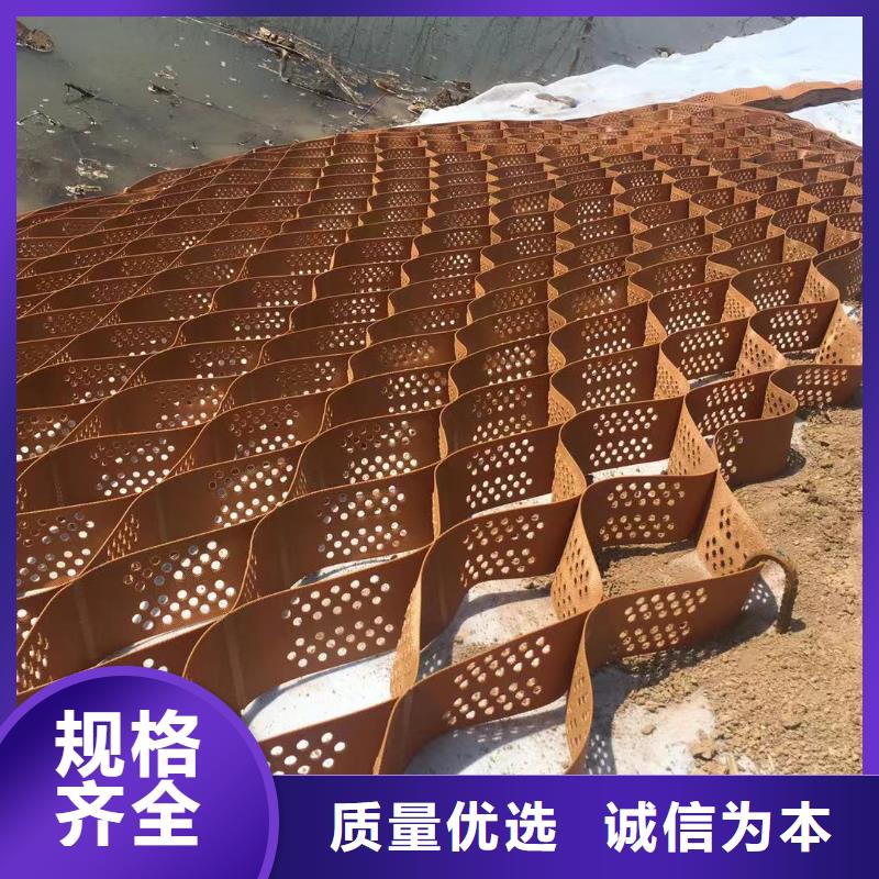 蜂巢格室塑料土工格室價(jià)格公道合理