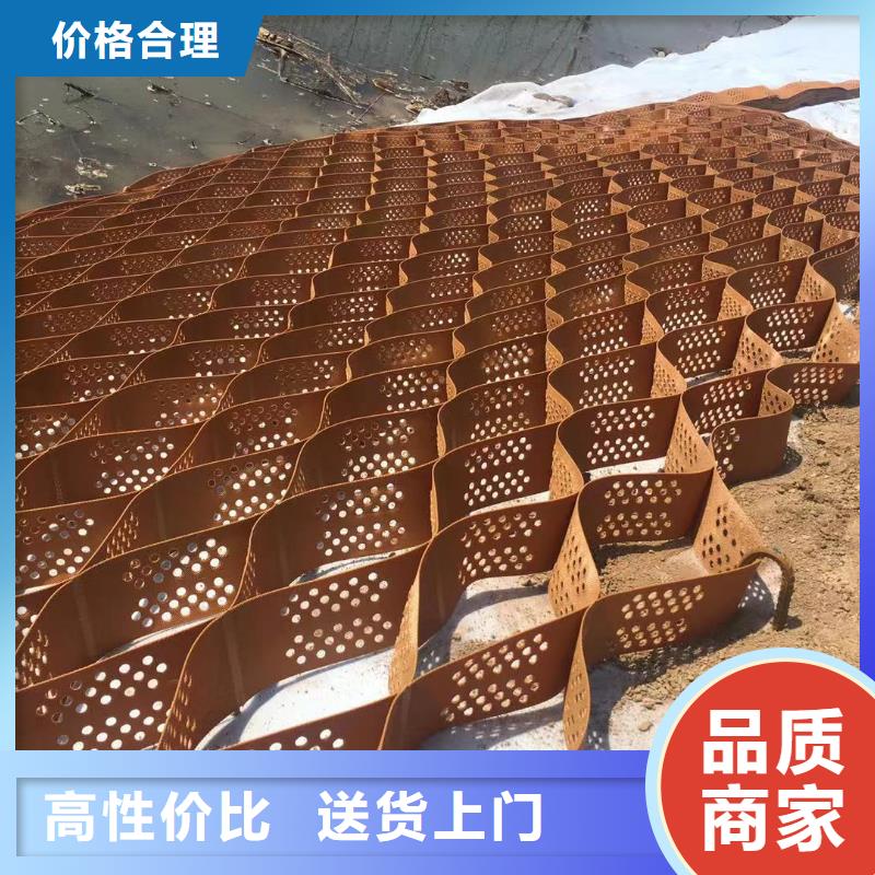 蜂巢格室塑料土工格室價(jià)格公道合理