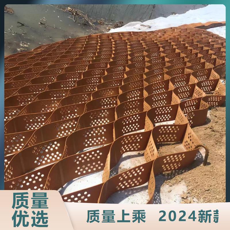 蜂巢格室 土工格室質(zhì)量牢靠