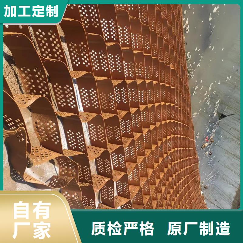 蜂巢格室土工膜實(shí)力廠(chǎng)商