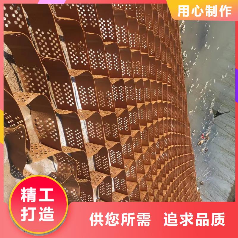 蜂巢格室_土工格柵誠信經(jīng)營現(xiàn)貨現(xiàn)發(fā)