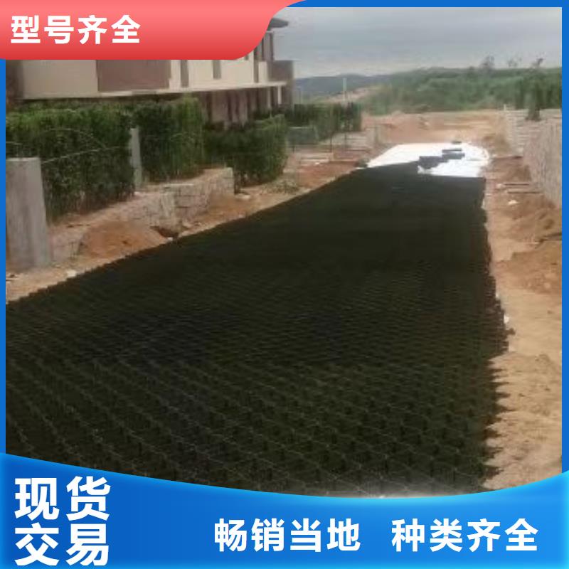 蜂巢格室 土工格室質(zhì)量牢靠
