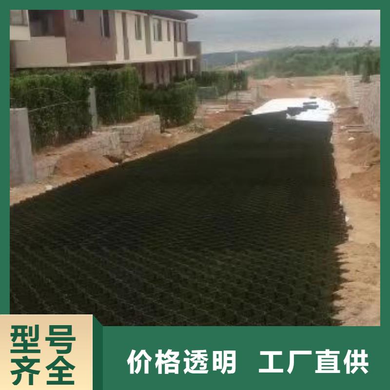 蜂巢格室土工格室性能穩(wěn)定