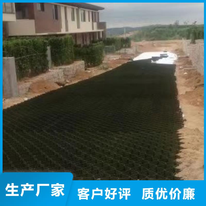 蜂巢格室土工格室性能穩(wěn)定