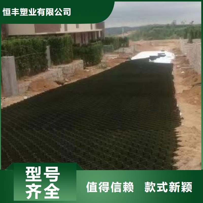 蜂巢格室土工格室質量為本