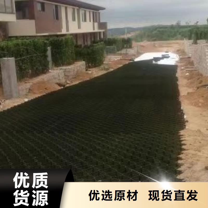 蜂巢格室塑料土工格室價(jià)格公道合理