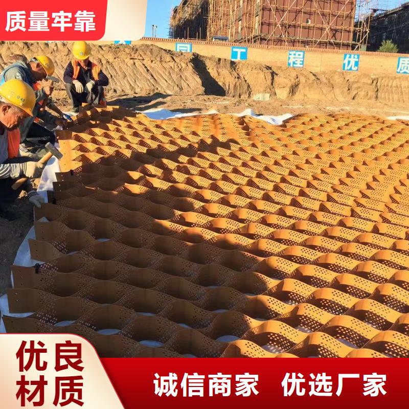 蜂巢格室塑料土工格室價(jià)格公道合理