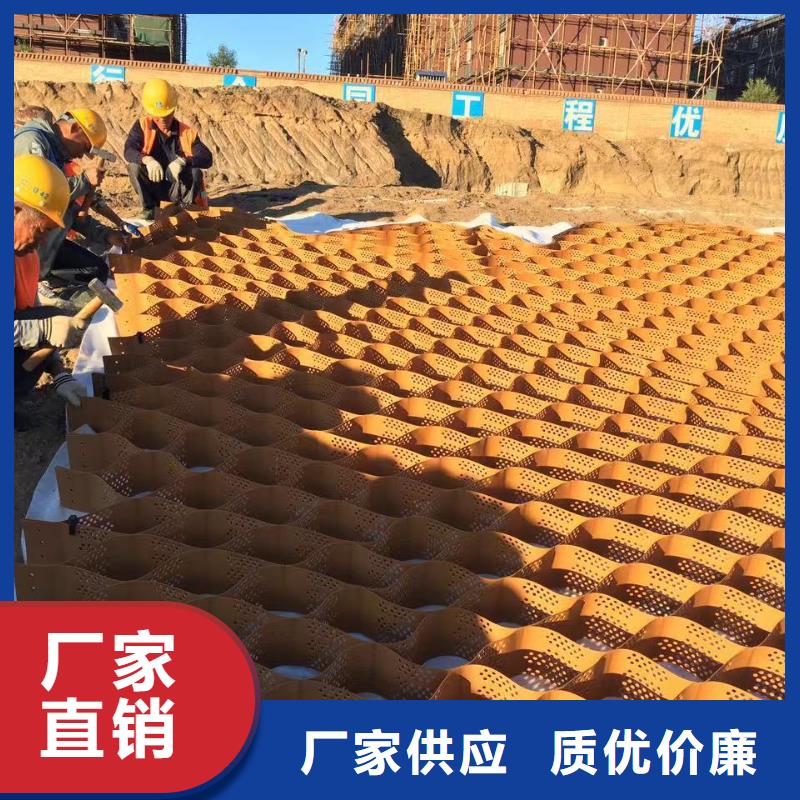 蜂巢格室_土工格柵誠信經(jīng)營現(xiàn)貨現(xiàn)發(fā)