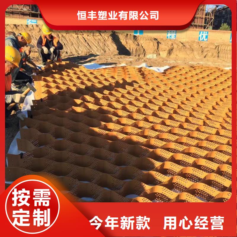 蜂巢格室土工格室性能穩(wěn)定