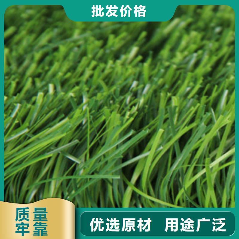 人造草坪塑膠跑道廠家現(xiàn)貨批發(fā)