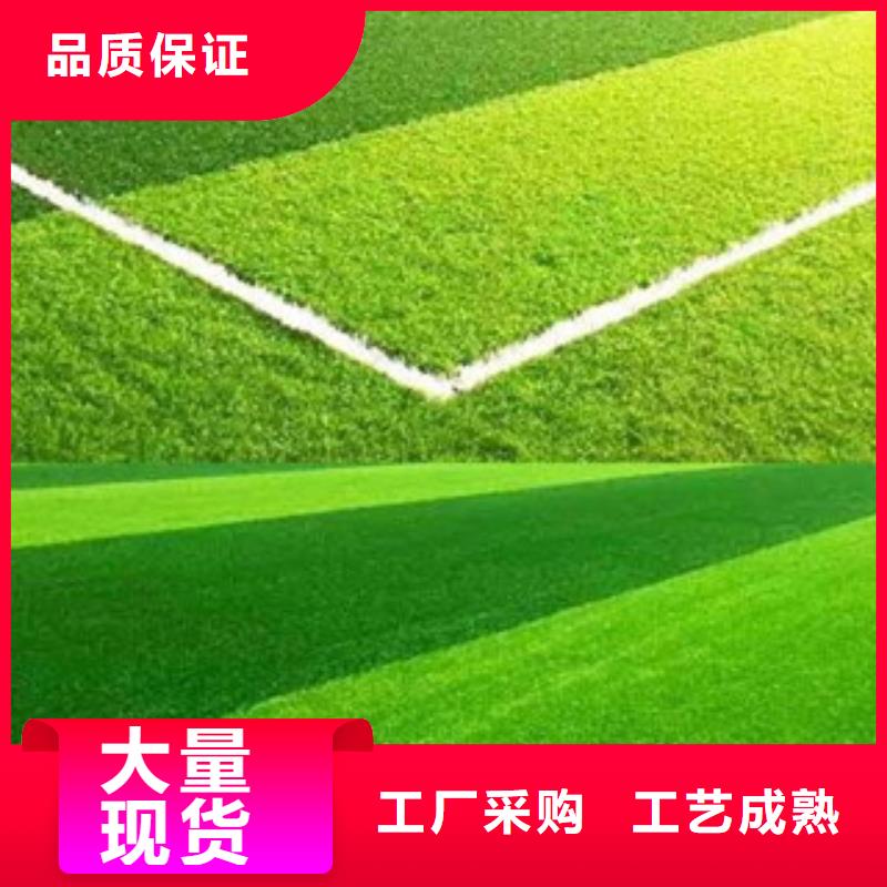 人造草坪同行低价