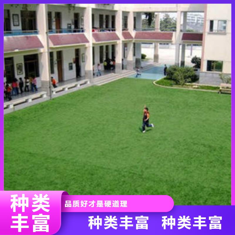 人造草坪塑胶跑道实体厂家