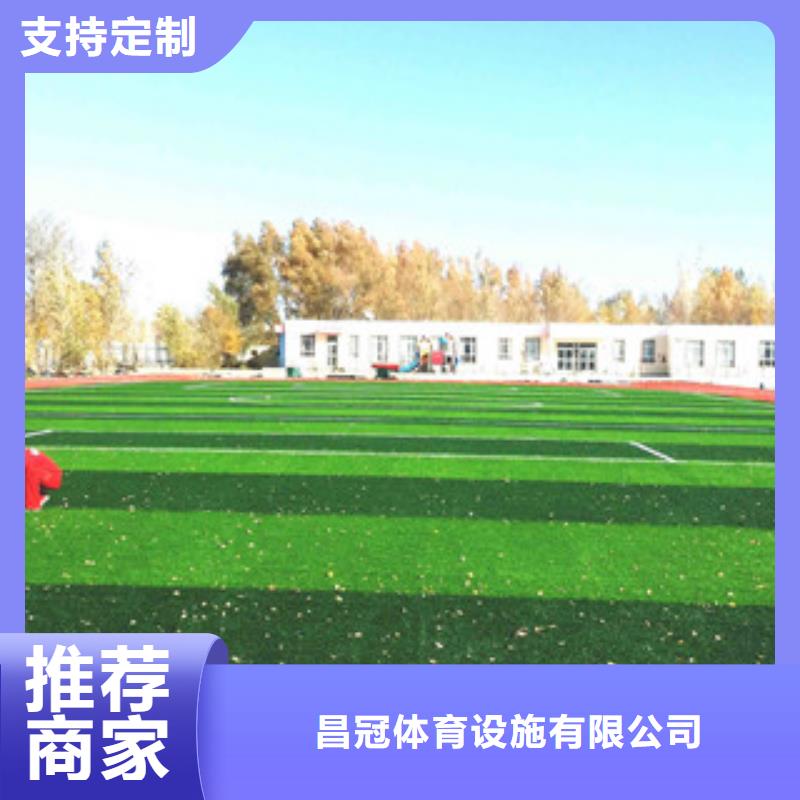 人造草坪体育器材服务至上