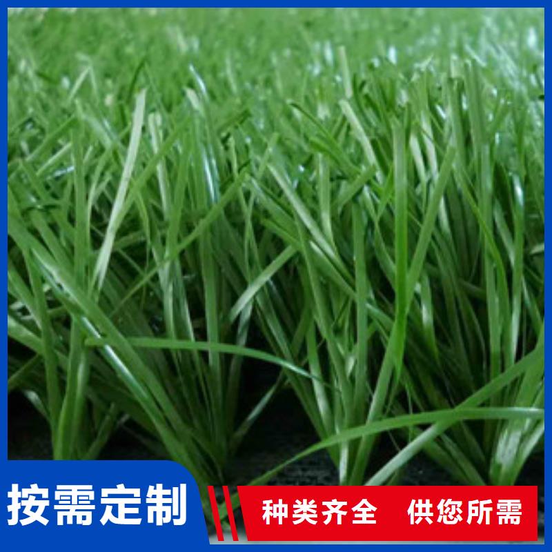 人造草坪硅pu球场源头实体厂商