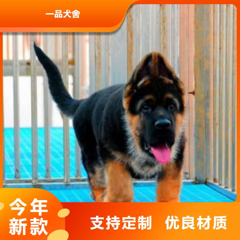 德国牧羊犬马犬品牌专营