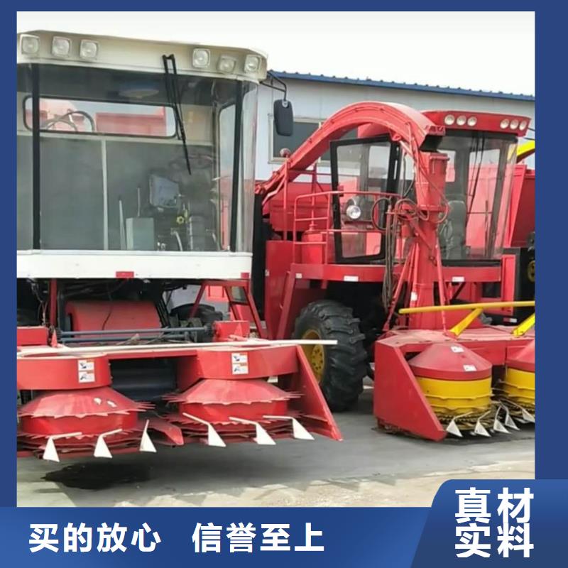 青儲機-卡斯羅犬材質(zhì)實在