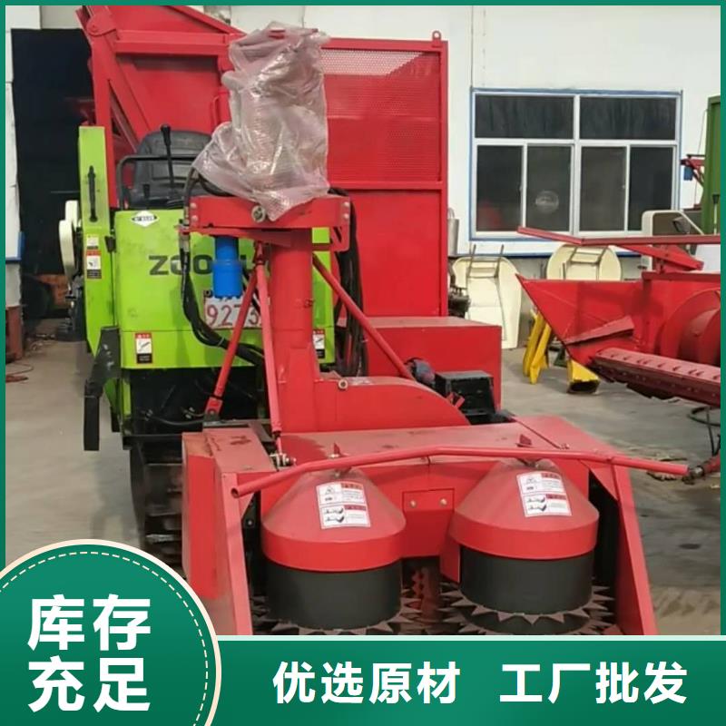 青储机-拉布拉多犬品质有保障