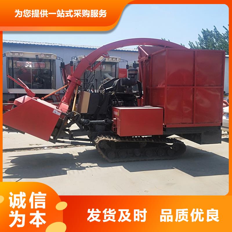 青儲(chǔ)機(jī)羅威納犬產(chǎn)品實(shí)拍