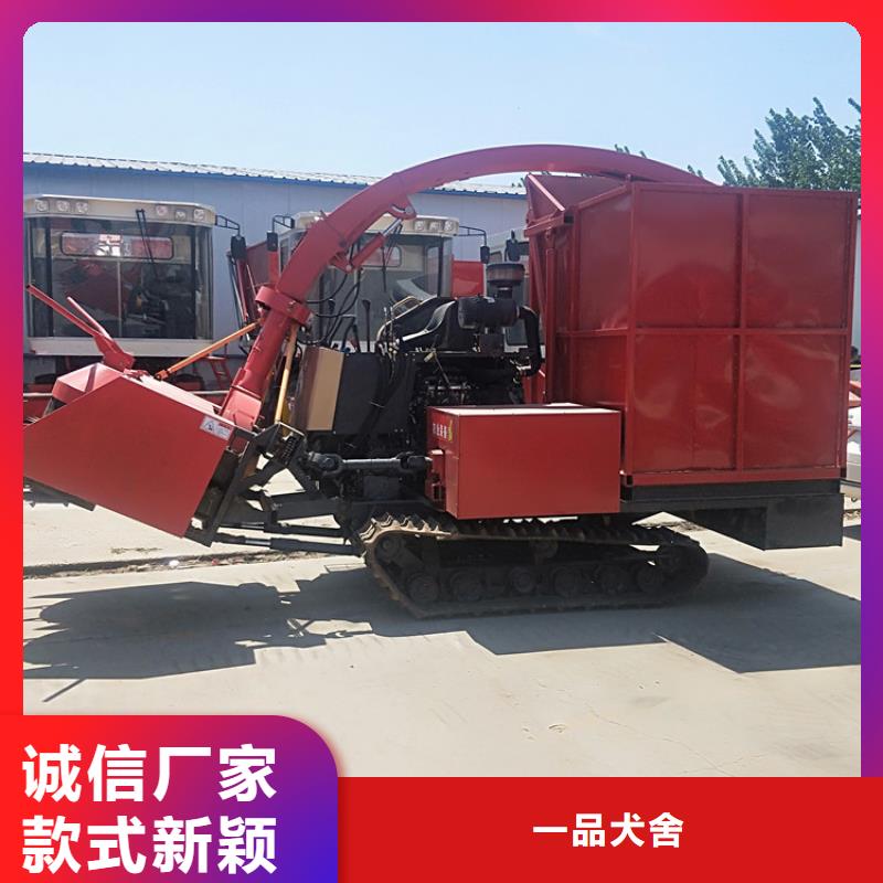青儲機(jī)杜賓犬就近發(fā)貨
