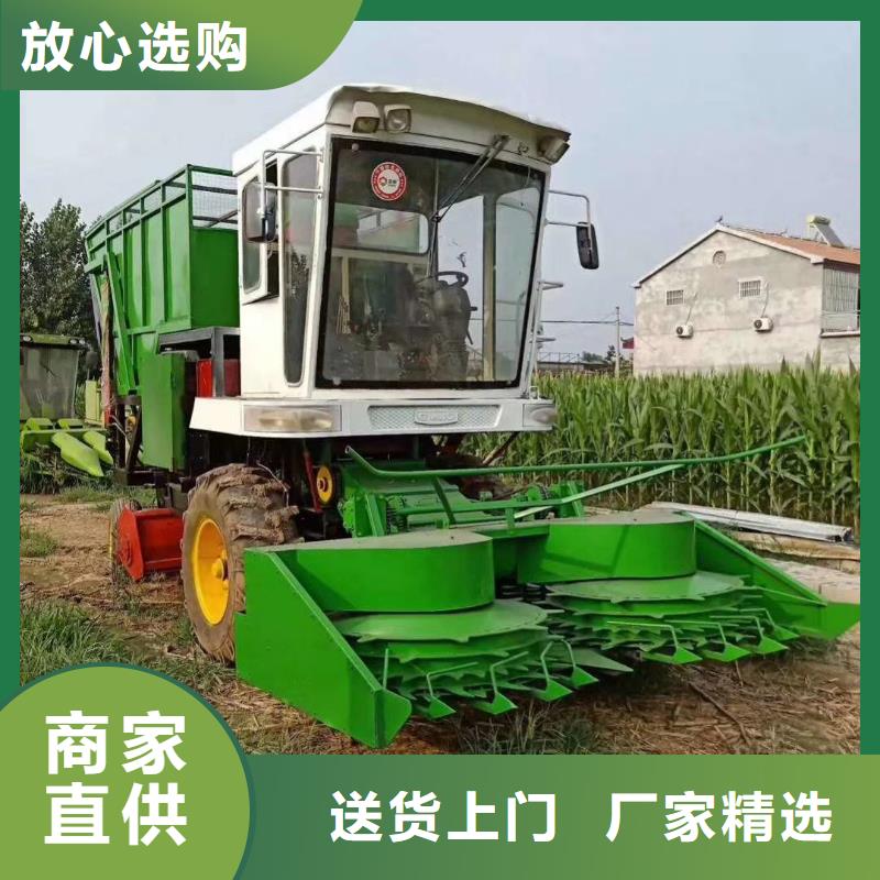 青儲(chǔ)機(jī)比特犬廠誠(chéng)信經(jīng)營(yíng)