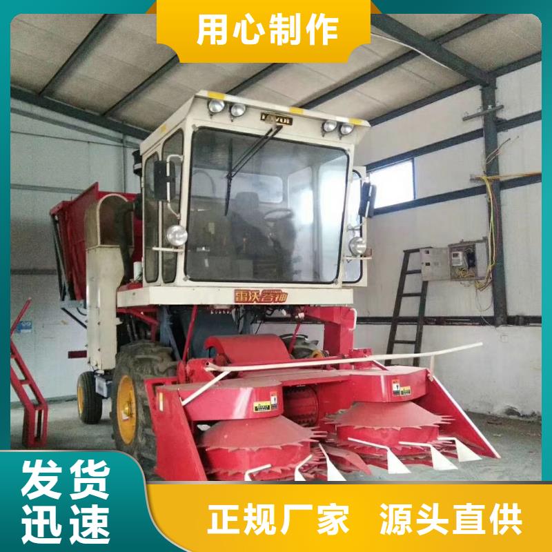 青儲機-卡斯羅犬材質實在