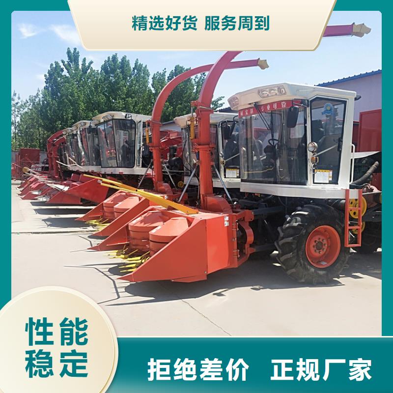 青儲(chǔ)機(jī)羅威納犬產(chǎn)品實(shí)拍