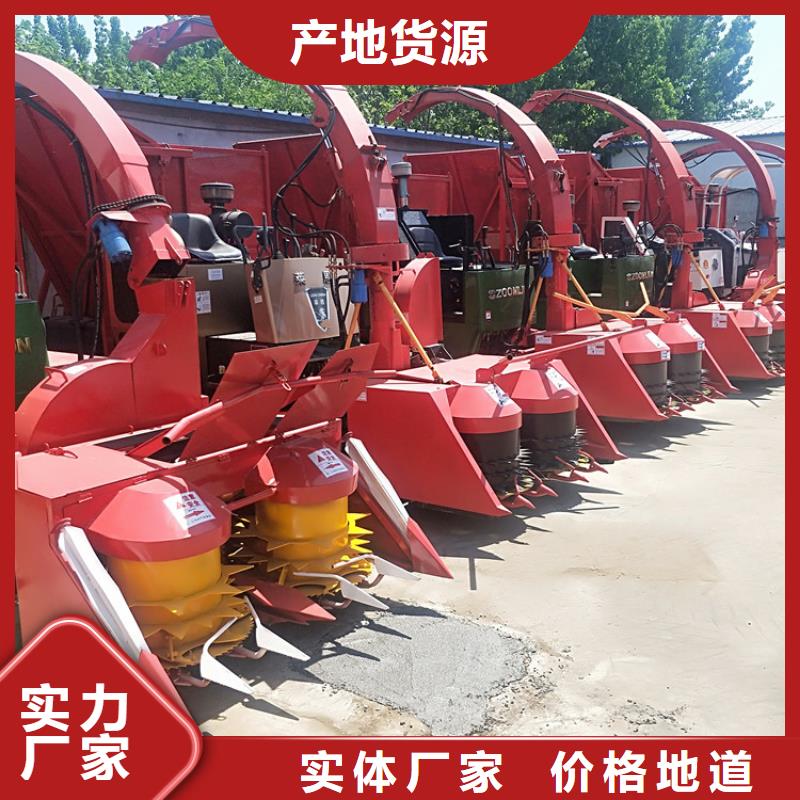 青儲機(jī)杜賓犬就近發(fā)貨