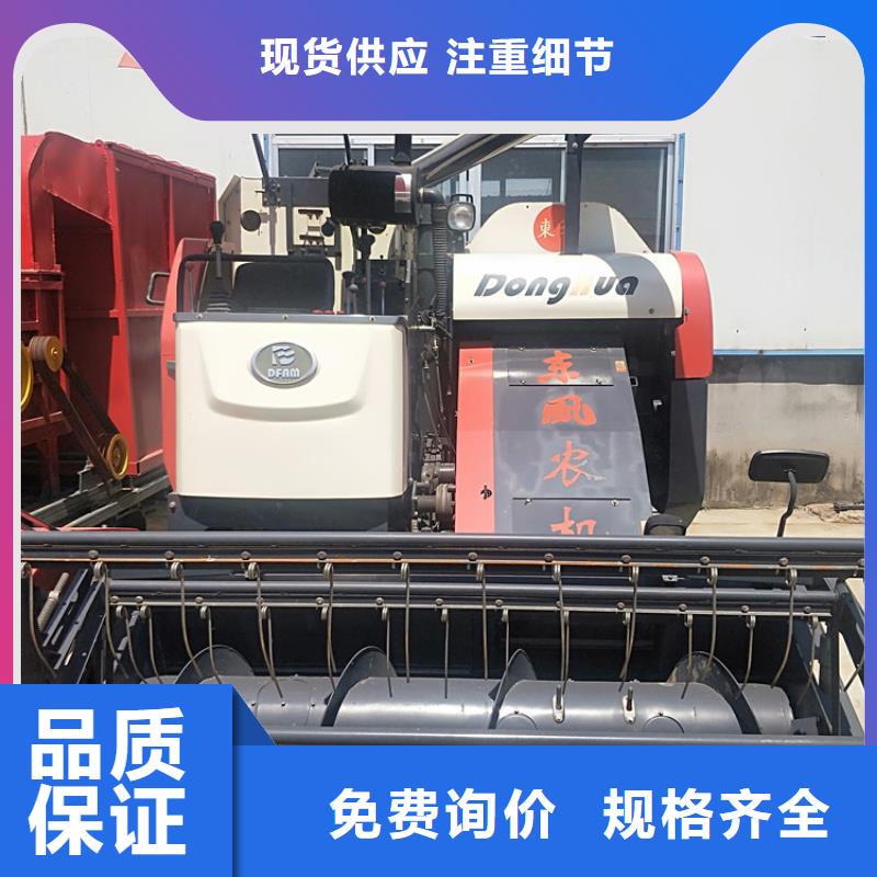 青储机-拉布拉多犬品质有保障