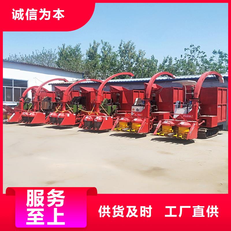 青儲機比特犬規(guī)格齊全
