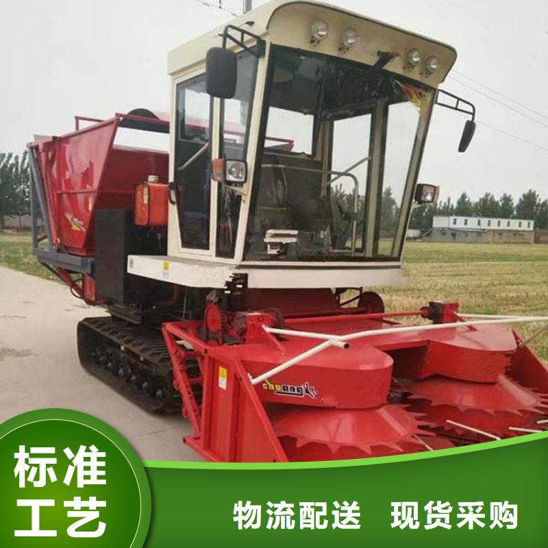 青储机比特犬厂诚信经营
