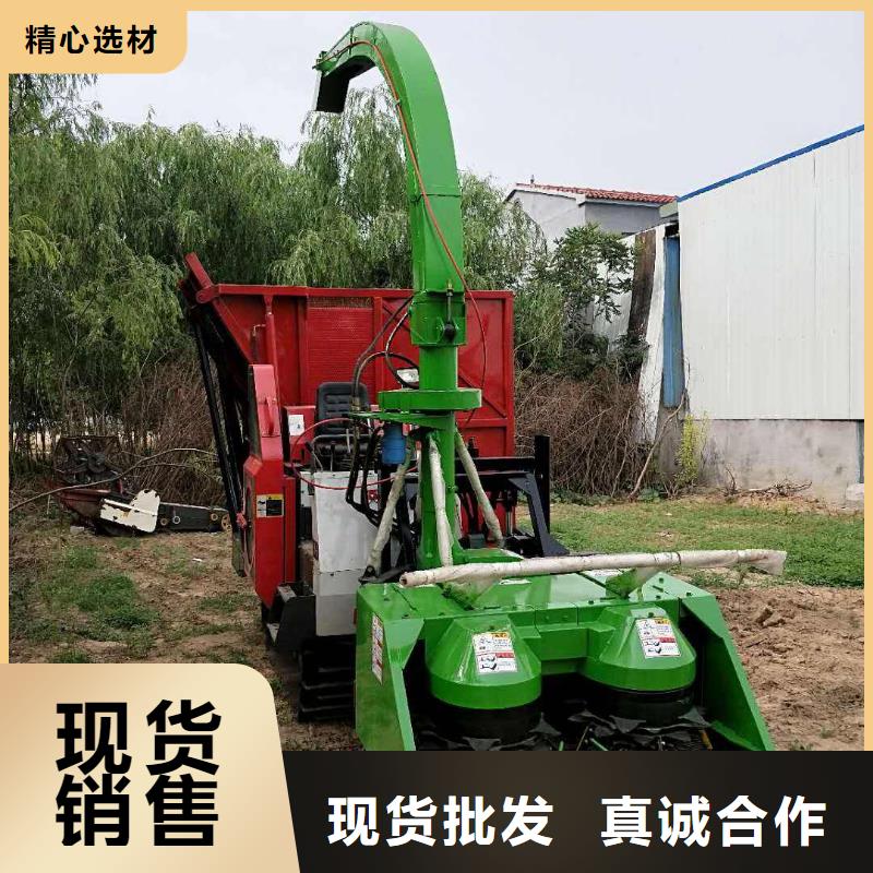 青储机卡斯罗犬今日价格
