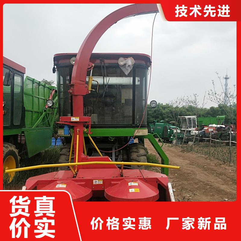 青儲機-卡斯羅犬材質實在