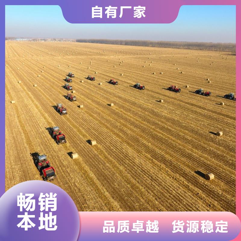 打捆機(jī)羅威納犬品質(zhì)服務(wù)誠(chéng)信為本