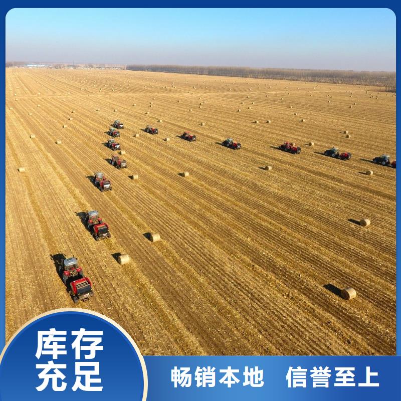 打捆機(jī),德牧犬實(shí)力廠家直銷