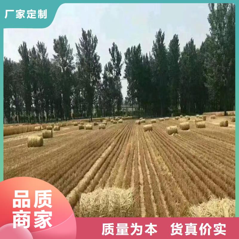 打捆机杜宾犬货源直销
