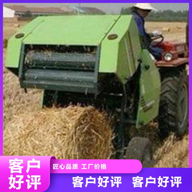 打捆机杜宾犬诚信商家服务热情