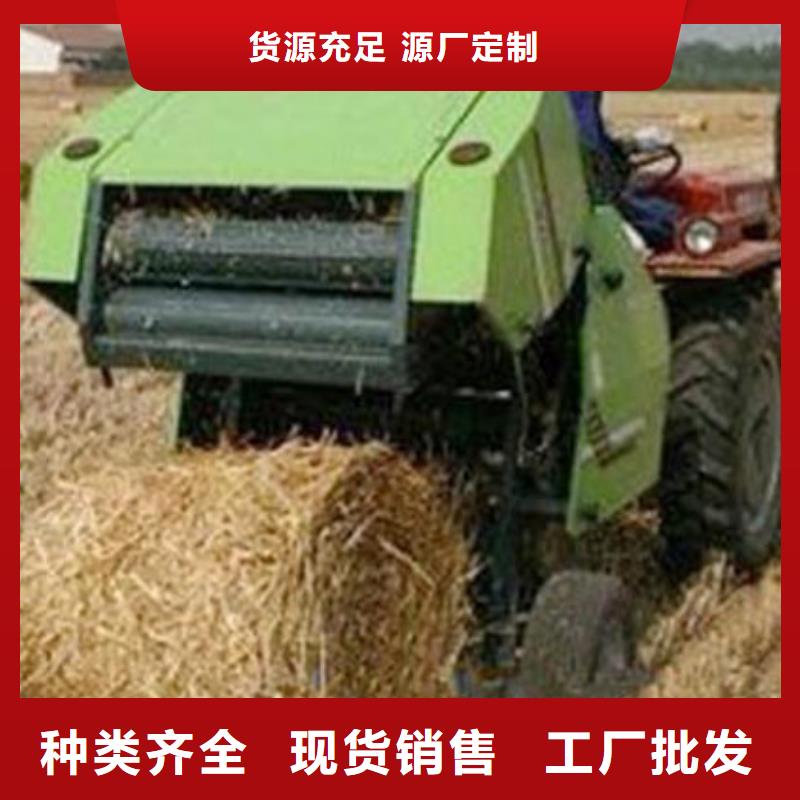 打捆機(jī)羅威納犬源頭廠(chǎng)家量大價(jià)優(yōu)
