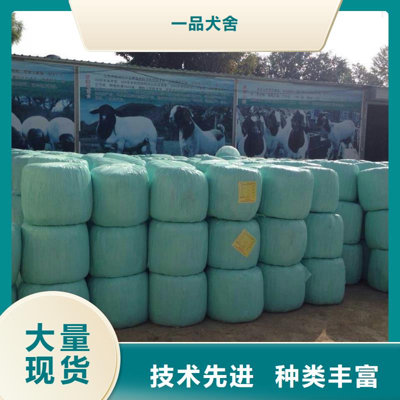 打捆包膜机拉布拉多犬售后无忧