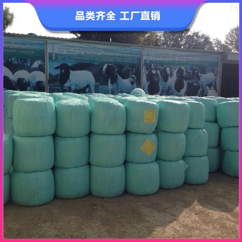 打捆包膜機_杜賓犬多種優(yōu)勢放心選擇
