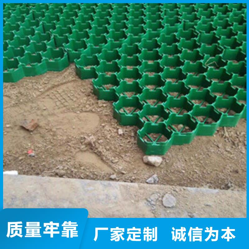 環(huán)保植草格-土工膜廠家品質(zhì)無所畏懼
