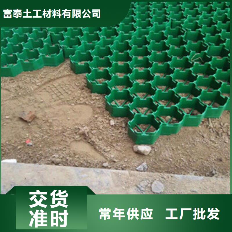 環(huán)保植草格土工膜廠家重信譽(yù)廠家