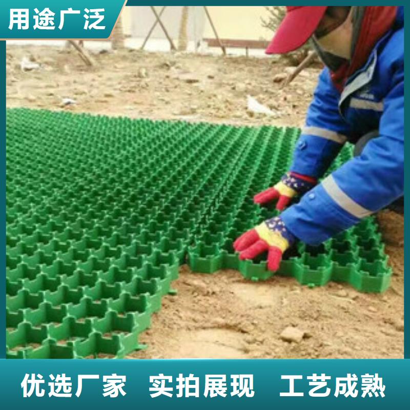 環(huán)保植草格無紡布廠家源廠定制