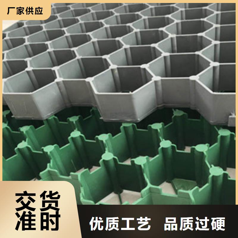 環(huán)保植草格土工布廠家市場行情