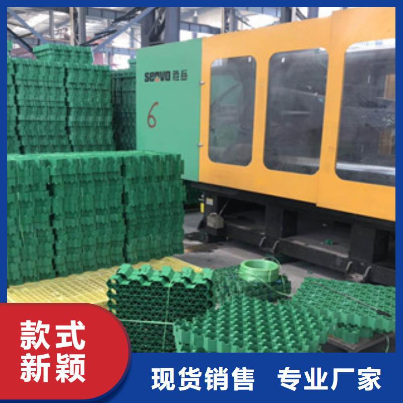 環(huán)保植草格虹吸排水板廠家做工細致