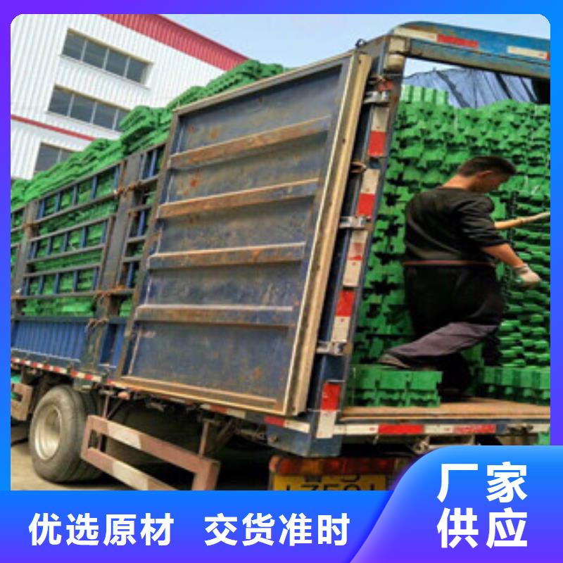 環(huán)保植草格-生態(tài)袋廠家好品質(zhì)用的放心