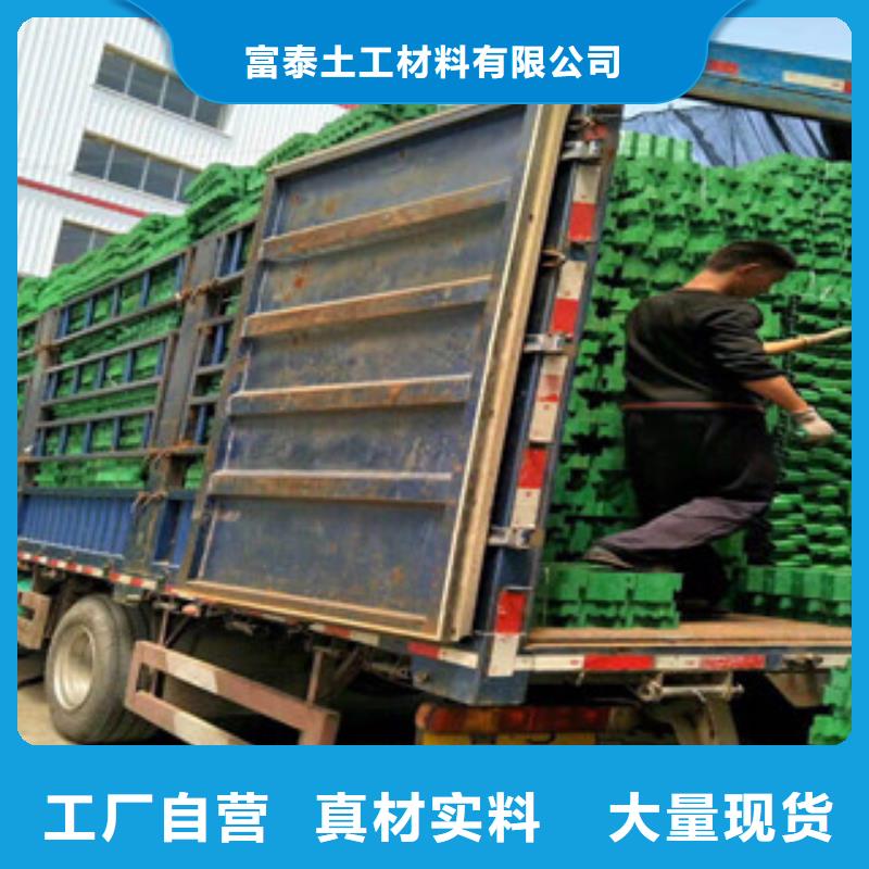 環(huán)保植草格_土工布廠家出貨及時(shí)