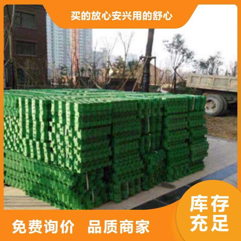 環(huán)保植草格-排水板廠家嚴(yán)格把關(guān)質(zhì)量放心