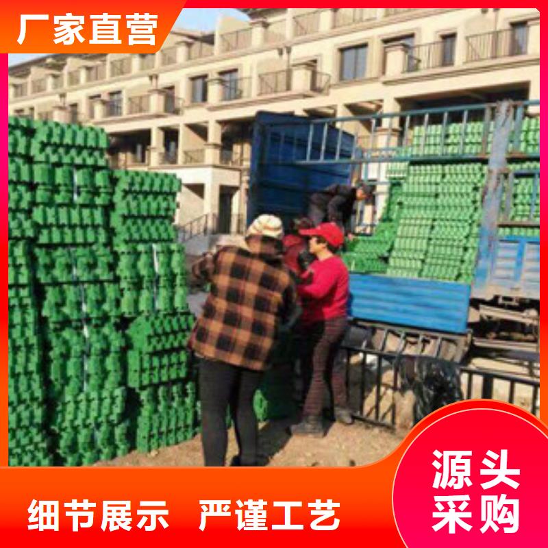 環(huán)保植草格虹吸排水板廠家做工細(xì)致